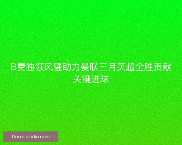 B费独领风骚助力曼联三月英超全胜贡献关键进球