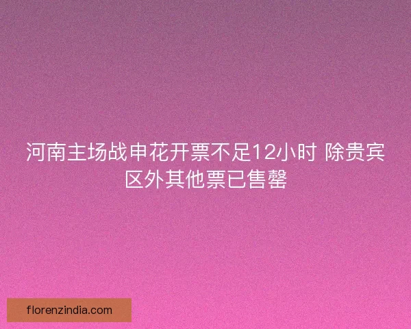 河南主场战申花开票不足12小时 除贵宾区外其他票已售罄